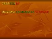 Lithuania. Pristatymas 6 puslapis