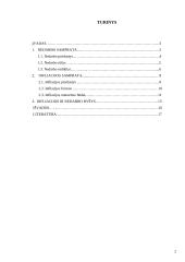 Nedarbas ir infliacija, rodikliai ir matavimai, formulės ir paaiškinimai 2 puslapis