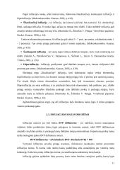 Nedarbas ir infliacija, rodikliai ir matavimai, formulės ir paaiškinimai 11 puslapis