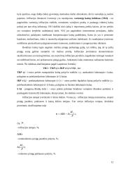 Nedarbas ir infliacija, rodikliai ir matavimai, formulės ir paaiškinimai 12 puslapis