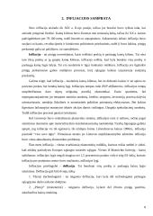 Nedarbas ir infliacija, rodikliai ir matavimai, formulės ir paaiškinimai 8 puslapis