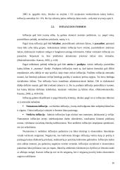 Nedarbas ir infliacija, rodikliai ir matavimai, formulės ir paaiškinimai 10 puslapis