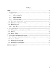 Senovės amatai: bitininkystės tradicija lietuvoje ir jos panaudojimas puoselėjant kultūrinį turizmą 2 puslapis