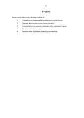 Mokomoji verslo organizavimo praktika. Lietuvos turizmo departamentas 15 puslapis