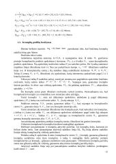 Taikomosios mechanikos kursinis darbas 12 puslapis