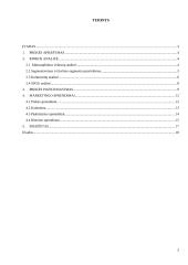 "Tušinuko - gliukomačio" marketingo sprendimai 2 puslapis