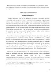 "Tušinuko - gliukomačio" marketingo sprendimai 12 puslapis