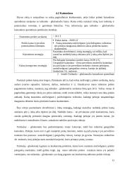 "Tušinuko - gliukomačio" marketingo sprendimai 13 puslapis