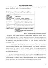 "Tušinuko - gliukomačio" marketingo sprendimai 14 puslapis