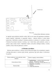 "Tušinuko - gliukomačio" marketingo sprendimai 15 puslapis