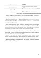 "Tušinuko - gliukomačio" marketingo sprendimai 16 puslapis