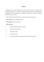 "Tušinuko - gliukomačio" marketingo sprendimai 3 puslapis