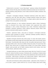 "Tušinuko - gliukomačio" marketingo sprendimai 6 puslapis