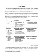 "Tušinuko - gliukomačio" marketingo sprendimai 8 puslapis