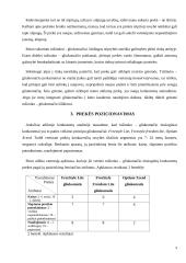 "Tušinuko - gliukomačio" marketingo sprendimai 9 puslapis