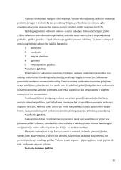 Vadovavimo stiliaus įtaka žinių  valdymo procesui 15 puslapis