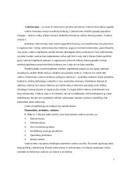 Vadovavimo stiliaus įtaka žinių  valdymo procesui 5 puslapis