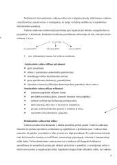 Vadovavimo stiliaus įtaka žinių  valdymo procesui 9 puslapis