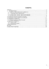 Įėjimo į tarptautinę rinką būdai ir metodai 2 puslapis