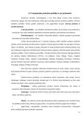 Įėjimo į tarptautinę rinką būdai ir metodai 11 puslapis