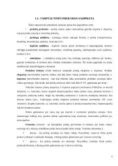 Įėjimo į tarptautinę rinką būdai ir metodai 4 puslapis