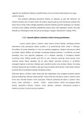 Įėjimo į tarptautinę rinką būdai ir metodai 7 puslapis