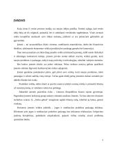 Vadybinių sprendimų priėmimas IĮ „Sielos gelmė“ 2 puslapis