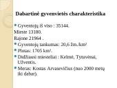 Kelmės miesto ir rajono strategija 2 puslapis