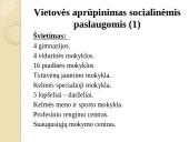 Kelmės miesto ir rajono strategija 12 puslapis