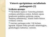 Kelmės miesto ir rajono strategija 13 puslapis