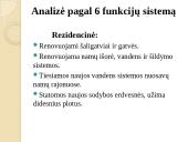 Kelmės miesto ir rajono strategija 16 puslapis