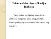 Kelmės miesto ir rajono strategija 17 puslapis