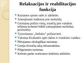 Kelmės miesto ir rajono strategija 18 puslapis