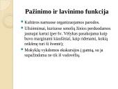 Kelmės miesto ir rajono strategija 19 puslapis