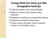 Kelmės miesto ir rajono strategija 20 puslapis