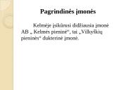 Kelmės miesto ir rajono strategija 7 puslapis