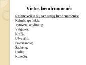 Kelmės miesto ir rajono strategija 9 puslapis