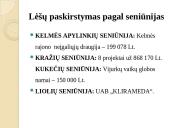 Kelmės miesto ir rajono strategija 10 puslapis