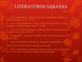 Rinkimų teisė. Pristatymas 13 puslapis