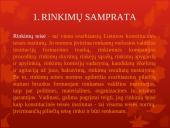 Rinkimų teisė. Pristatymas 4 puslapis