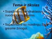 Nuodingosios žuvys 2 puslapis