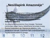 Nuodingosios žuvys 4 puslapis