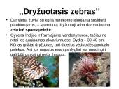 Nuodingosios žuvys 5 puslapis