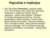 JAV pristatymas (skaidrės) 13 puslapis