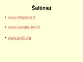 JAV pristatymas (skaidrės) 16 puslapis