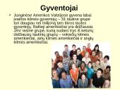 JAV pristatymas (skaidrės) 3 puslapis