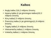 JAV pristatymas (skaidrės) 7 puslapis