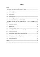 Inovacijų diegimo proceso organizavimas 2 puslapis