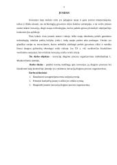 Inovacijų diegimo proceso organizavimas 3 puslapis