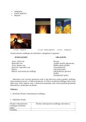   Šilumos izoliacijos rūšys 3 puslapis